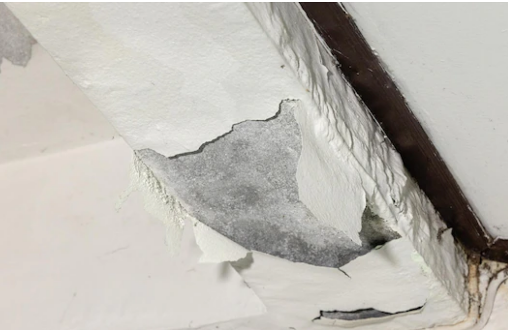 How to fix wet drywall ceiling?