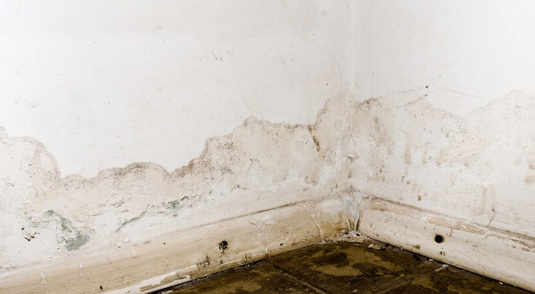 How to tell if water damage is new or old?